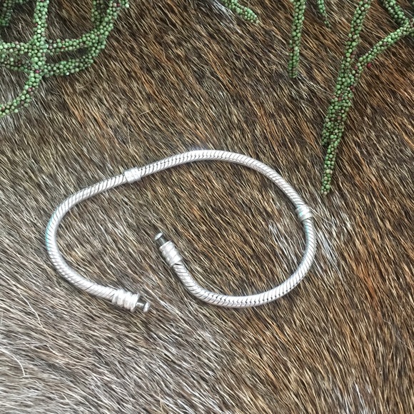 PANDORA Jewelry Moments Bracelet Snake Charm Chain - Picture 1 of 4